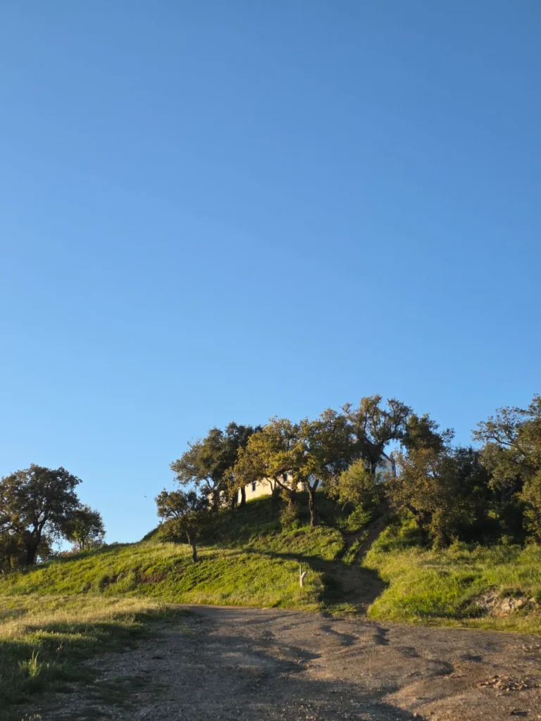 Ermida da Nossa Senhora da Penha de França_4